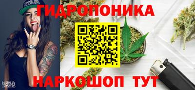 mdpv Лесосибирск