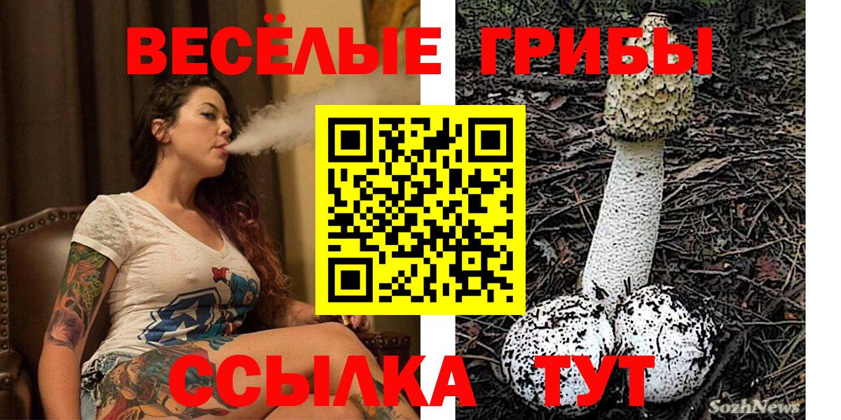 Галлюциногенные грибы Psilocybine cubensis  Вход с VPN  Дивногорск  Псилоцибиновые грибы мухоморы 