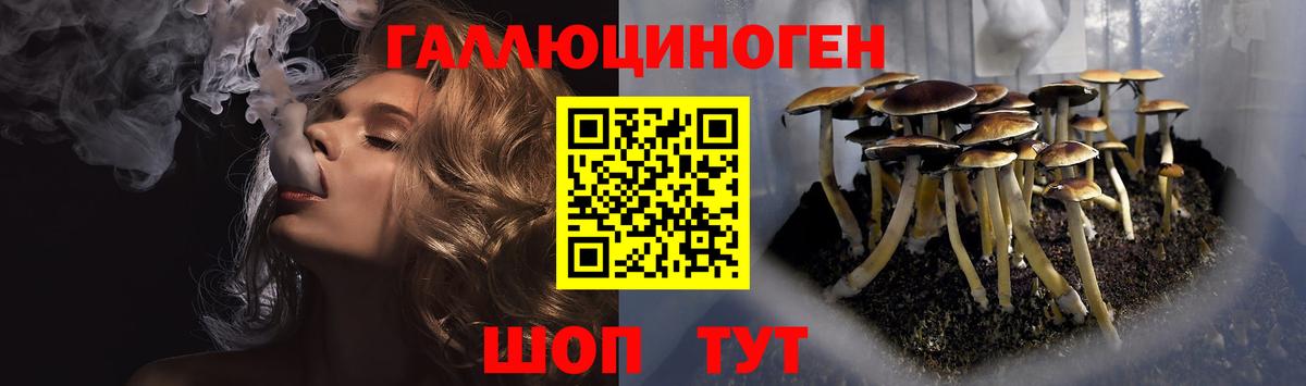 Псилоцибиновые грибы Magic Shrooms Дивногорск